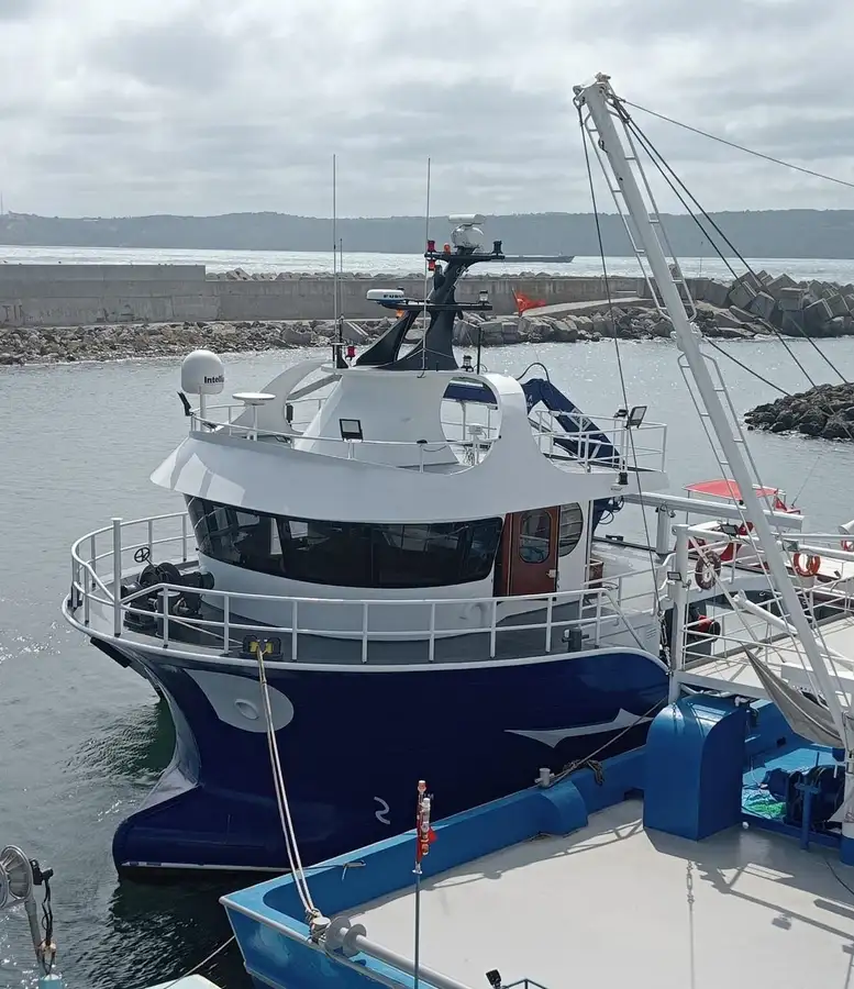 Barcos de trabalho à venda