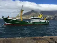 Fast Supply Vessel (FSV) à venda