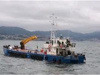 Barcos de trabalho à venda