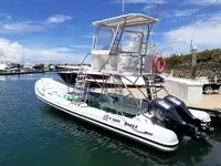 Barco inflável rígido à venda