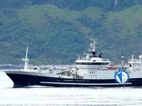 Navio de pesca de arrasto à venda