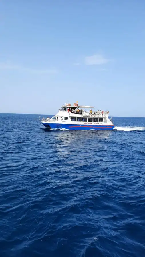 Catamarã à venda