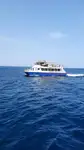 Catamarã à venda