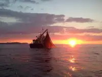 Navio de pesca de arrasto à venda