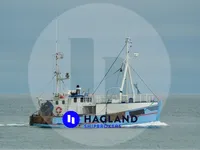 Navio transportador de peixes vivos à venda
