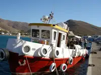 Barcos de trabalho à venda
