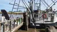 Navio de pesca de arrasto à venda
