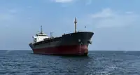 Navio cimenteiro à venda