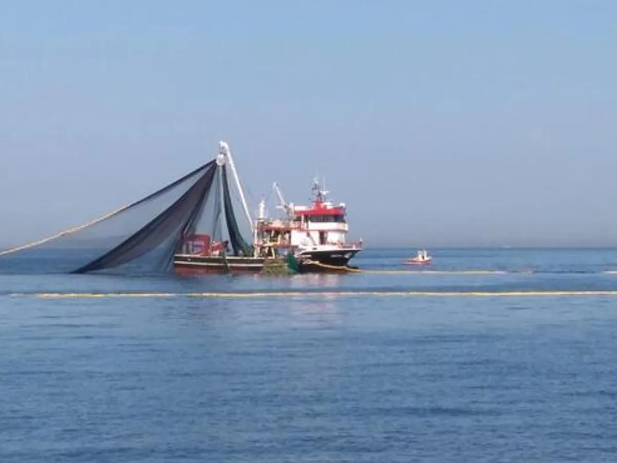 Navio de pesca à venda