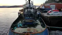 Rebocador à venda