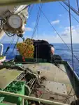 Navio de pesca de cerco à venda