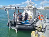Barcos de trabalho à venda