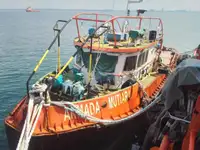 Barcos de trabalho à venda