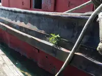 Rebocador à venda