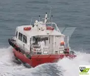 Navio de serviço para parques eólicos à venda