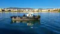 Barcos de trabalho à venda