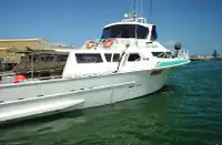 Barcos de trabalho à venda