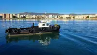 Barcos de trabalho à venda