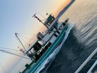 Navio de pesca de cerco à venda