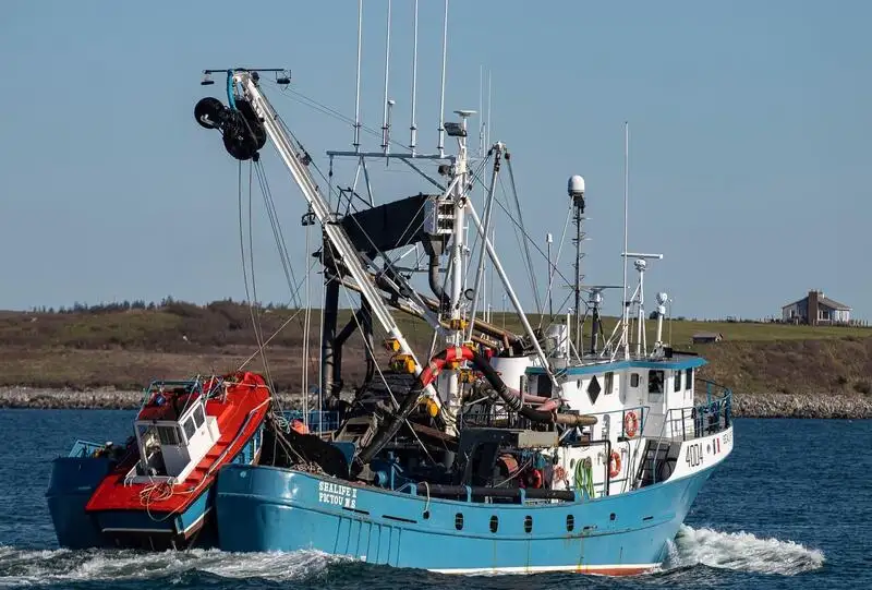 Navio de pesca de cerco à venda