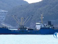 Navio frigorífico à venda
