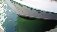 Navio de pesca de arrasto à venda