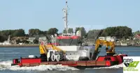 Barcos de trabalho à venda