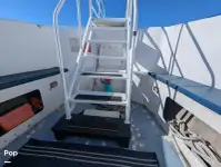 Navio de cruzeiro e ferry à venda