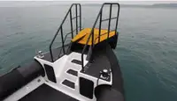 Bote inflável rígido à venda