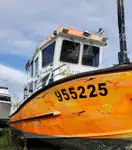 Barcos de trabalho à venda