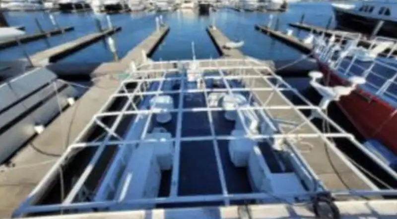 Navio de patrulha à venda