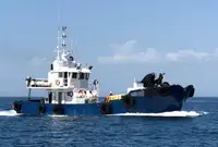 Barcos de trabalho à venda