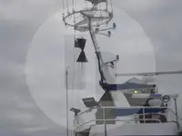 Navio transportador de peixes vivos à venda