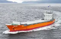 Navio porta-contentores à venda
