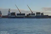Navio frigorífico à venda