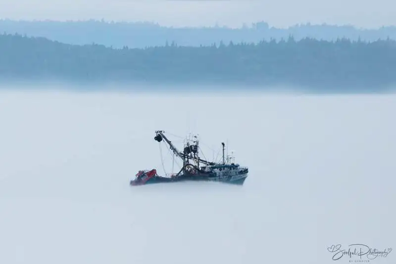 Navio de pesca de cerco à venda