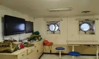 Navio graneleiro à venda