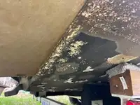 Barcos de trabalho à venda