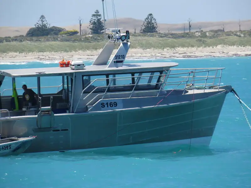 Barcos de trabalho à venda