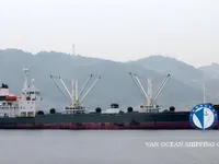 Navio frigorífico à venda