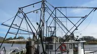 Navio de pesca de arrasto à venda