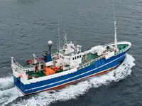 Trawler à venda