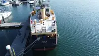 Barcos de trabalho à venda