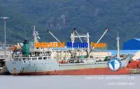 Navio frigorífico à venda