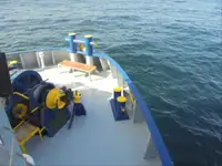 Navio frigorífico à venda