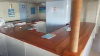 Catamarã à venda