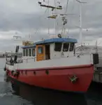 Barcos de trabalho à venda