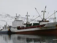 Navio frigorífico à venda