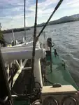 Dragador à venda
