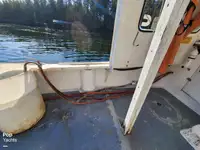Navio de processamento de peixe à venda